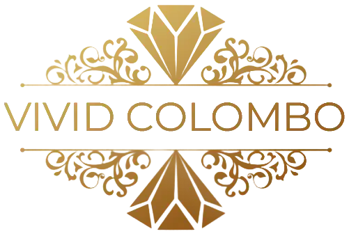 vivid logo